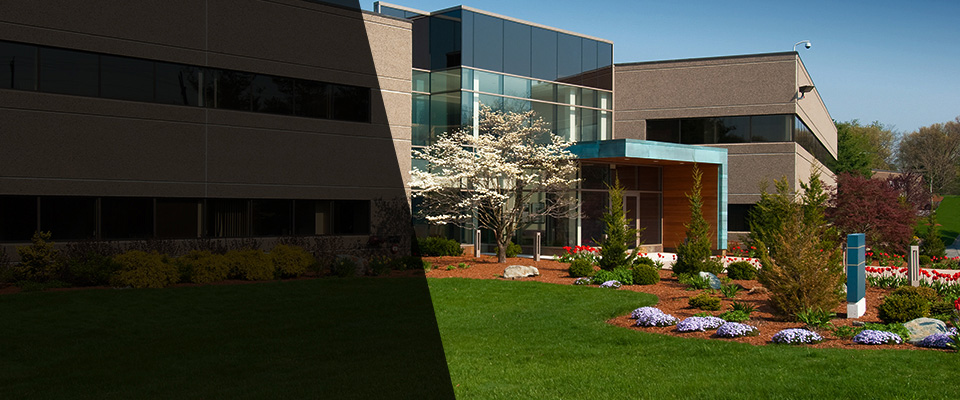 Homosassa Landscapers