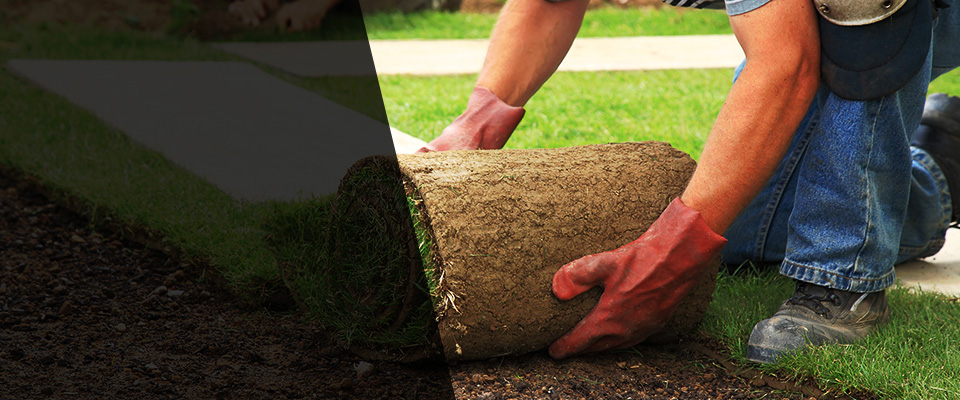 Homosassa Landscapers